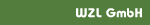 www.wzlgmbh.de